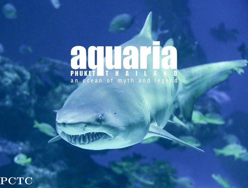 aquaria-phuket-1023.jpg