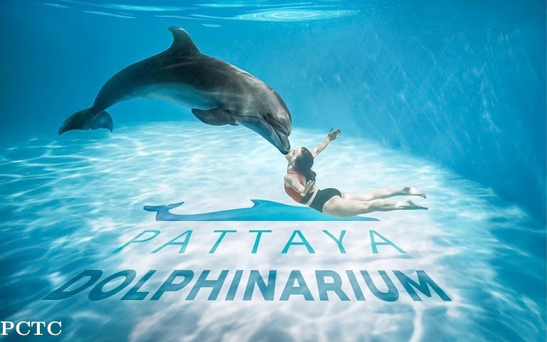 pattaya-dolphinarium-8906.jpg