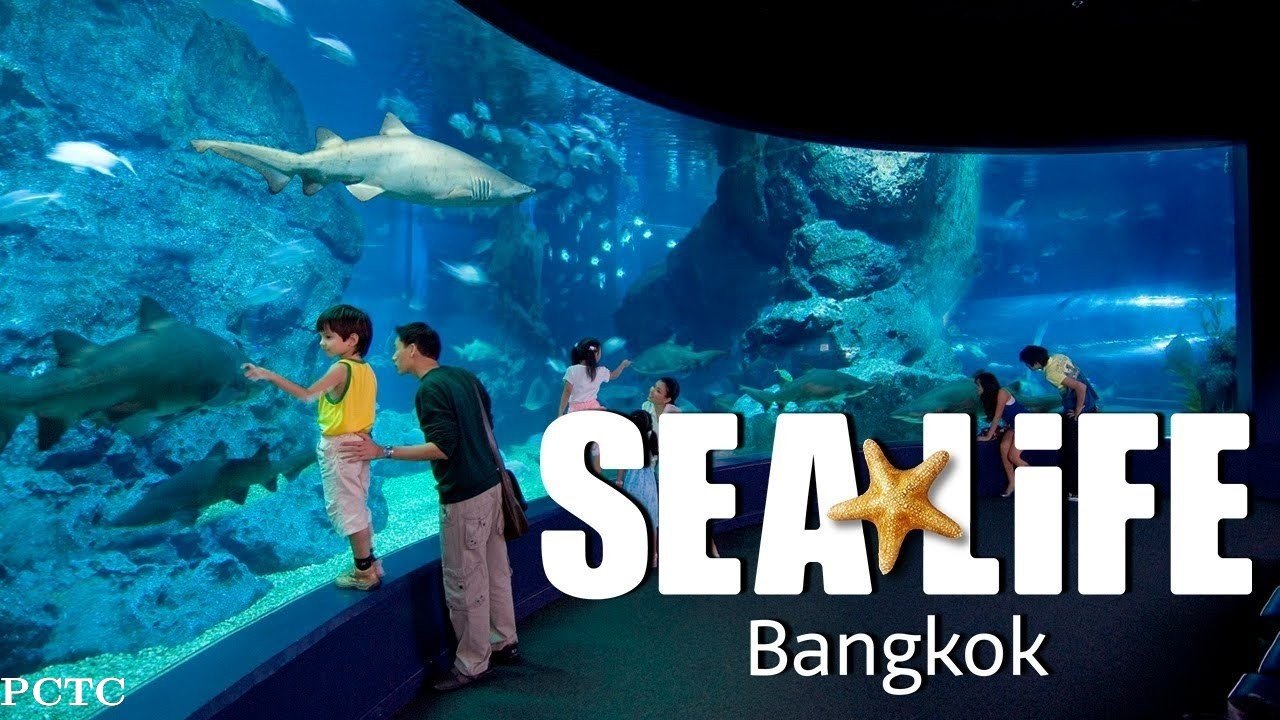 sea-life-ocean-world-bangkok-4040.jpg