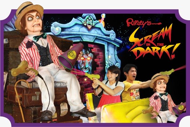 3 Attractions Ticket + Free Coral Island Group Tour by Speed boat + SIC Hotel Transfer image