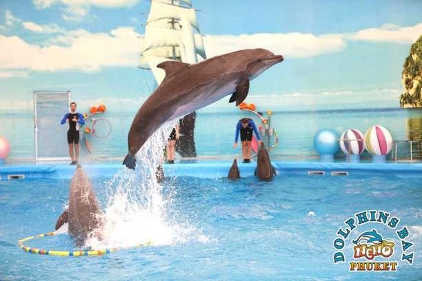 Regular Seat Ticket image