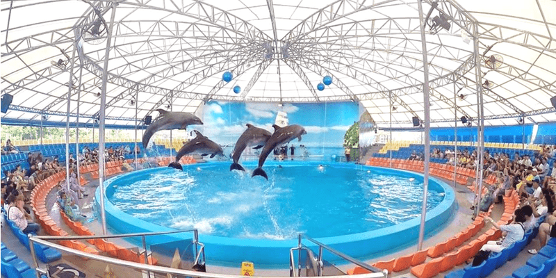 Deluxe Seat Ticket image