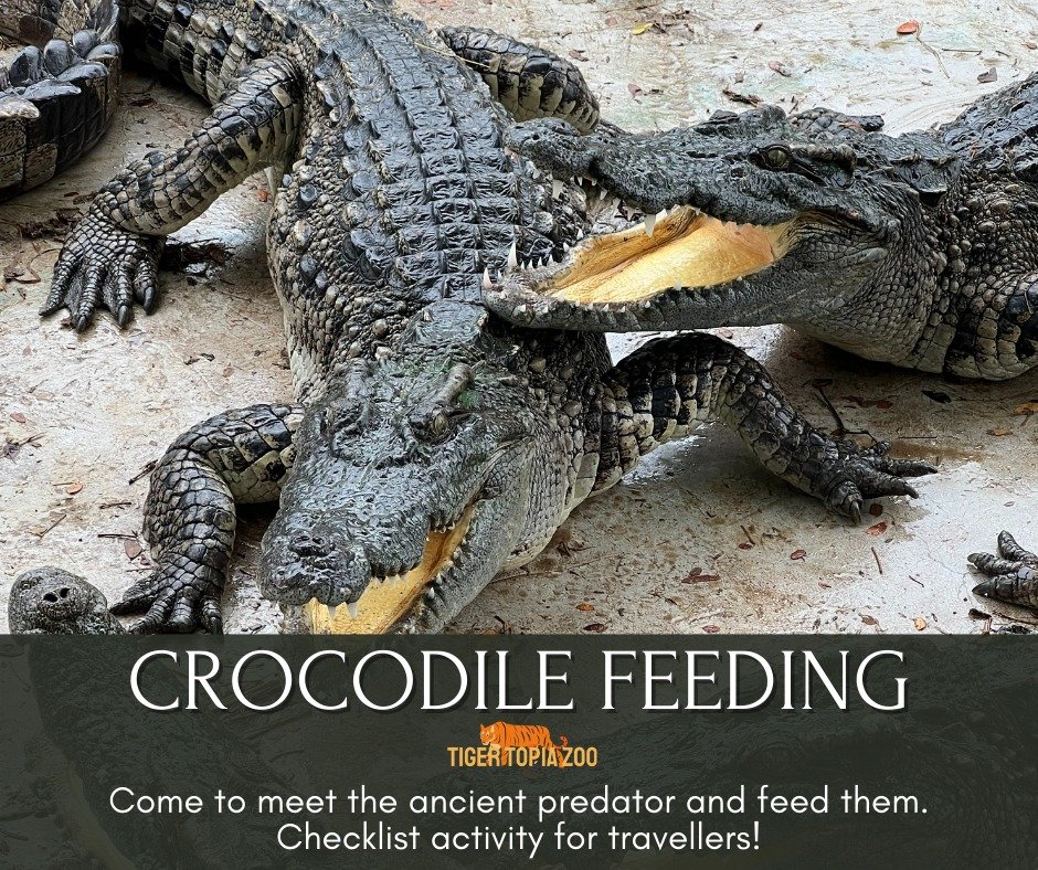 Photo With Large Crocodiles image