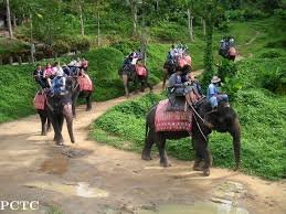 Program : 1 - Elephant Trekking 30 Minutes + Tiger Park - Medium Tiger With Photo + Take Photo With Elephant Baby + Big Buddha View Point + Chalong Temple + Cashew Nut Factory + Honey Farm + Coffee Break & Souvenir Shop + SIC Hotel Transfer image