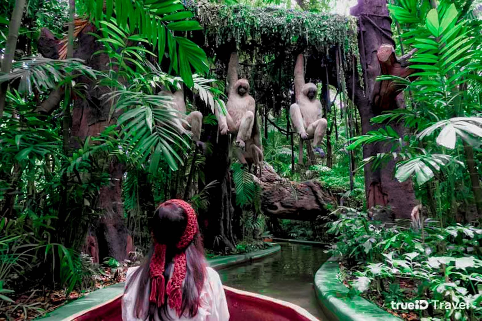 Package - A - Safari Park + Marine Park + Buffet Lunch Ticket image