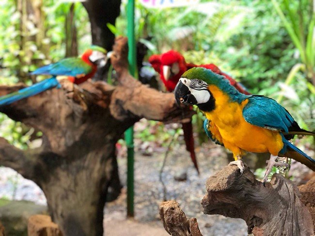 Entrance Ticket image