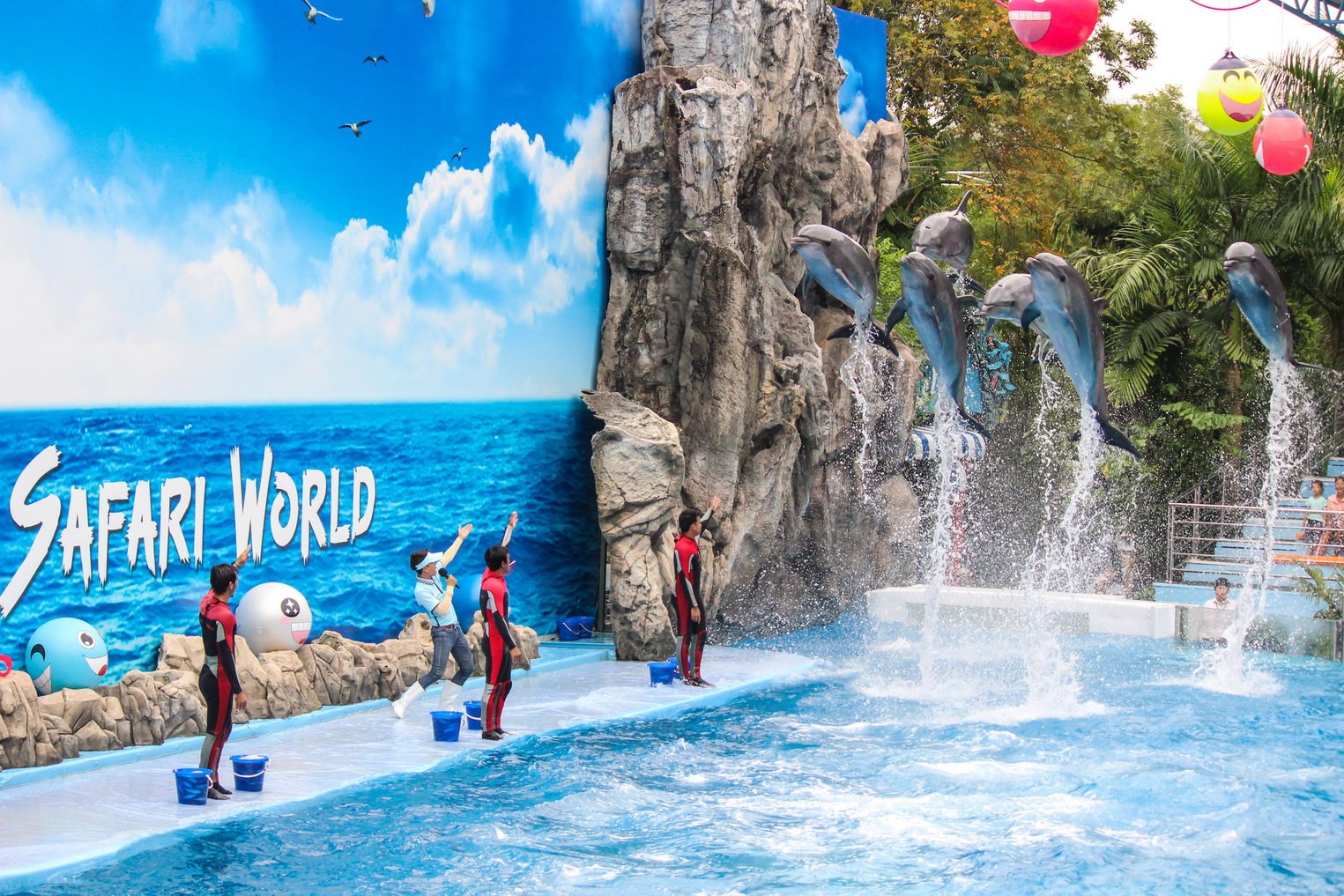 Package - D - Marine Park Ticket image