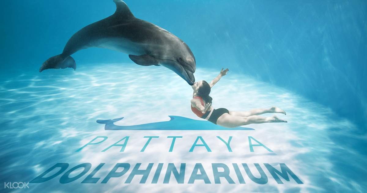 Regular Ticket image