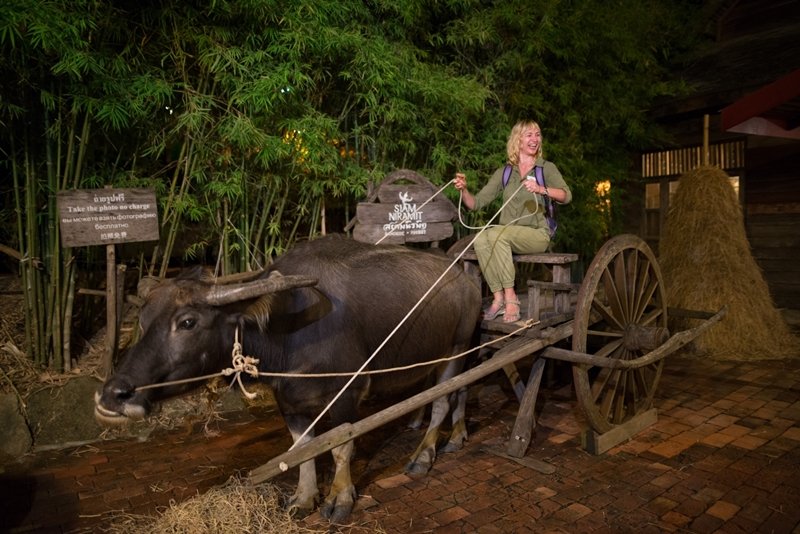 Gold Seat + Buffet Dinner { Buy 1 get 1 free } image