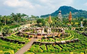 Entrance Ticket + Show + Buffet Lunch  image