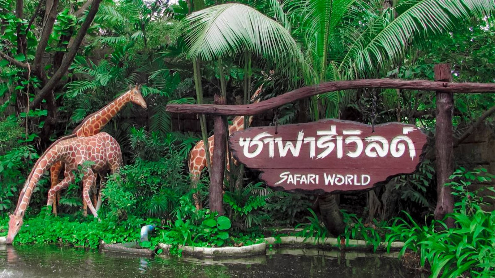 Package - C - Safari Park + Marine Park Ticket image