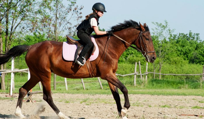 PCTC - 147 - 30 Minutes Horse Riding + Hotel Transfer image