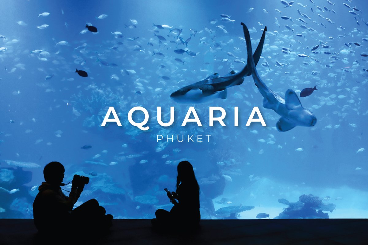 Aquarium Entrance Ticket image