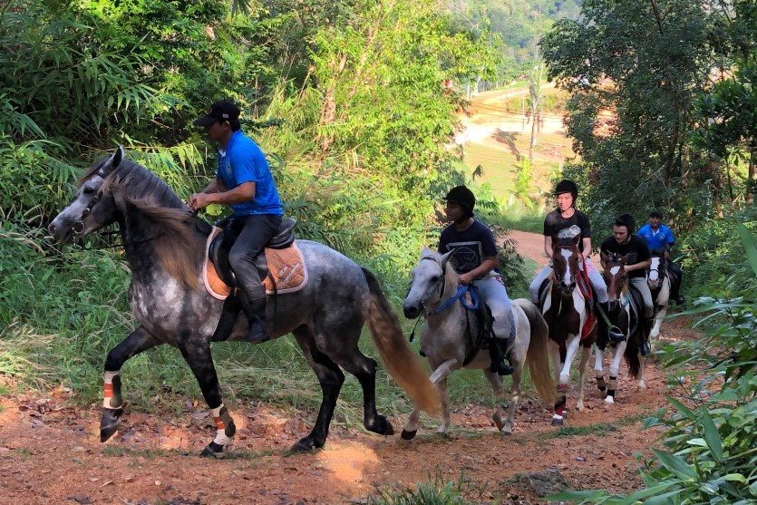PCTC - 148 - 60 Minutes Horse Riding + Hotel Transfer image