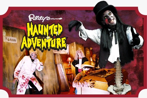 5 Attractions Ticket + Free Coral Island Group Tour by Speed boat + SIC Hotel Transfer image